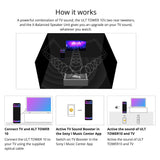 Sony SRSULT1000 ULT TOWER 10 Party Speaker (Black, 2-Pack) with Microphone (Black, 2-Pack) Bundle