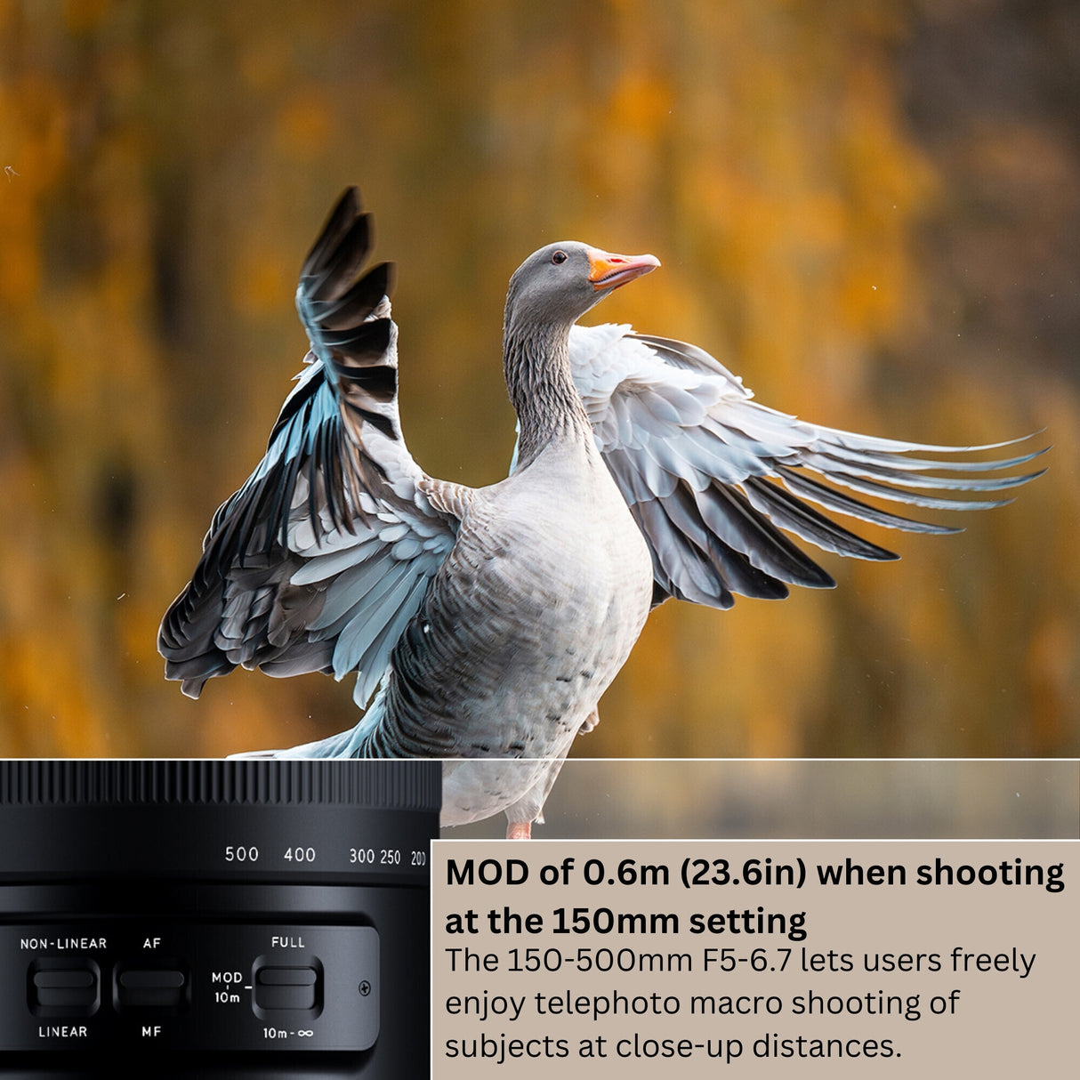 Tamron A057Z 150-500mm F/5-6.7 Di III VC VXD Lens for Nikon Z-Mount with Sling Camera Bag Bundle