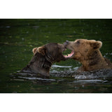 Tamron A057Z 150-500mm F/5-6.7 Di III VC VXD Lens for Nikon Z-Mount with Sling Camera Bag Bundle