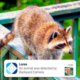 Lorex 4K 16 Camera Capable (Wired or Fusion Wi-Fi) 4TB NVR with Four Bullet Security Camera Bundle