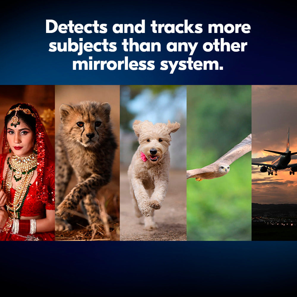 Nikon Z8 Mirrorless Camera Body