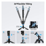 Sirui P-424FL Professional 4 Sections Monopod with Modular Design and 10-Layer Carbon Fiber Legs