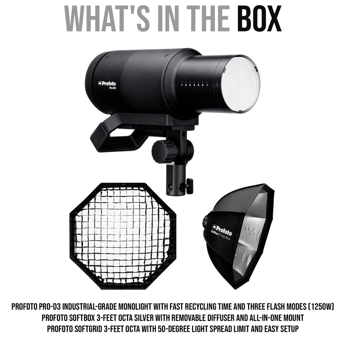 Profoto Pro-D3 Industrial-Grade 1250W Monolight with Softbox and Softgrid Bundle