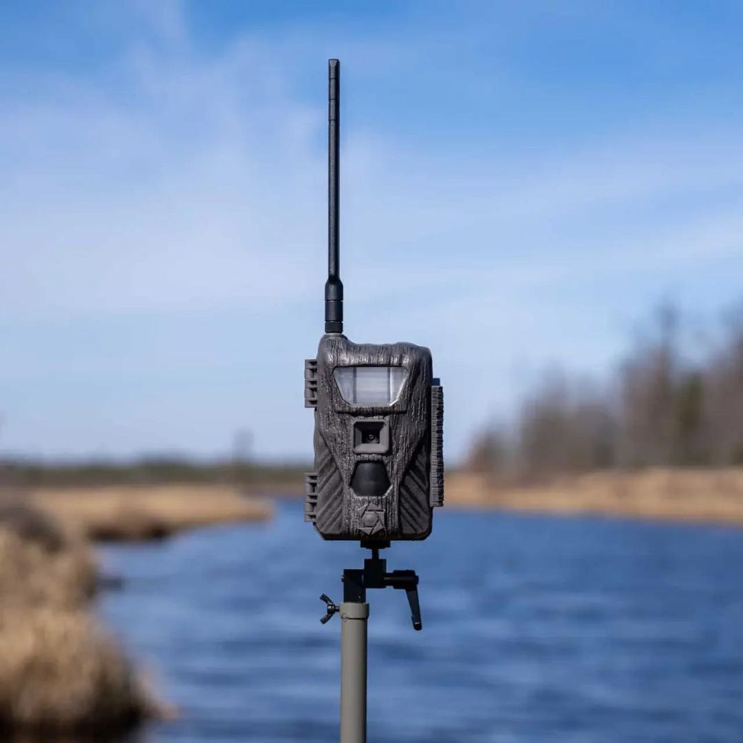 FLASHBACK / 40MP / WHITE FLASH CELLULAR CAMERA