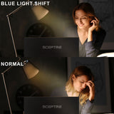 Sceptre 20-Inch 1600 x 900 HD 75Hz LED Monitor with Built-In Speakers and Adaptive Sync (Black)