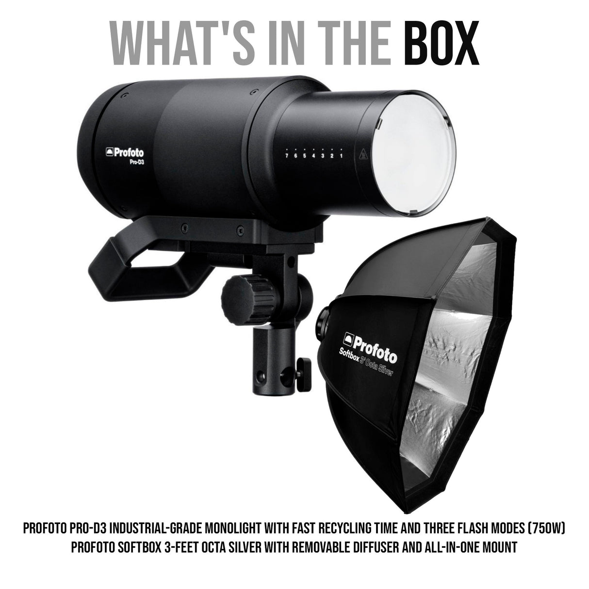 Profoto Pro-D3 750W Industrial-Grade Monolight with Profoto Softbox 3-Feet Octa (Silver) Bundle