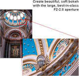 Tamron A058 35-150mm f/2-2.8 Di III VXD Mirrorless Zoom Lens for Sony E-Mount