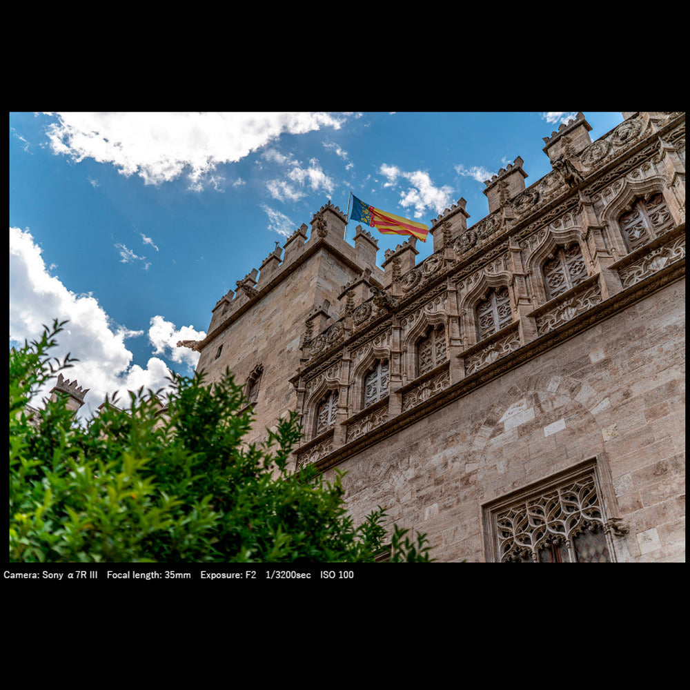 Tamron A058 35-150mm f/2-2.8 Di III VXD Mirrorless Zoom Lens for Sony E-Mount