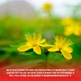 Tamron 20mm f/2.8 Di III OSD Wide-Angle Prime Lens for Sony E-Mount