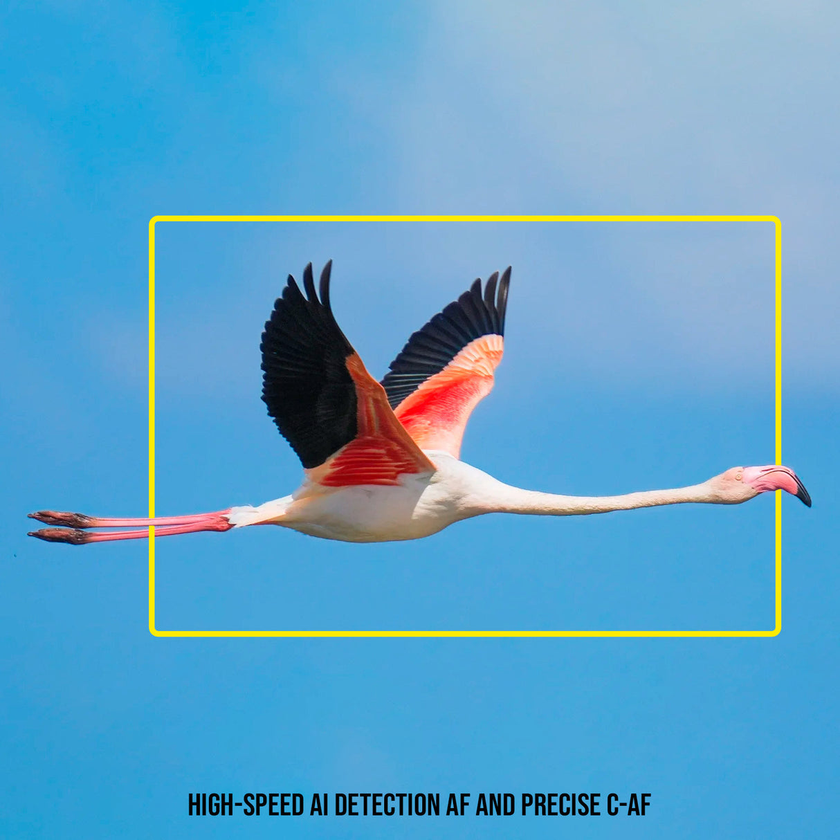 OM SYSTEM OM-1 Mark II with 12-40mm f/2.8 Lens