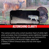 Stealth Cam Flashback White Flash Cellular Trail Camera 2-Pack with Two 32GB Cards and Card Reader