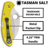 Spyderco Folding Knife Tasman Salt 2