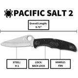 Spyderco Folding Knife Pacific Salt 2