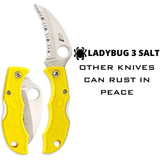 Spyderco Folding Knife Ladybug 3 Salt