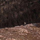 Garmin Fenix 8 43mm GPS Smartwatch with 1.3-Inch AMOLED Display (Silver and Whitestone)