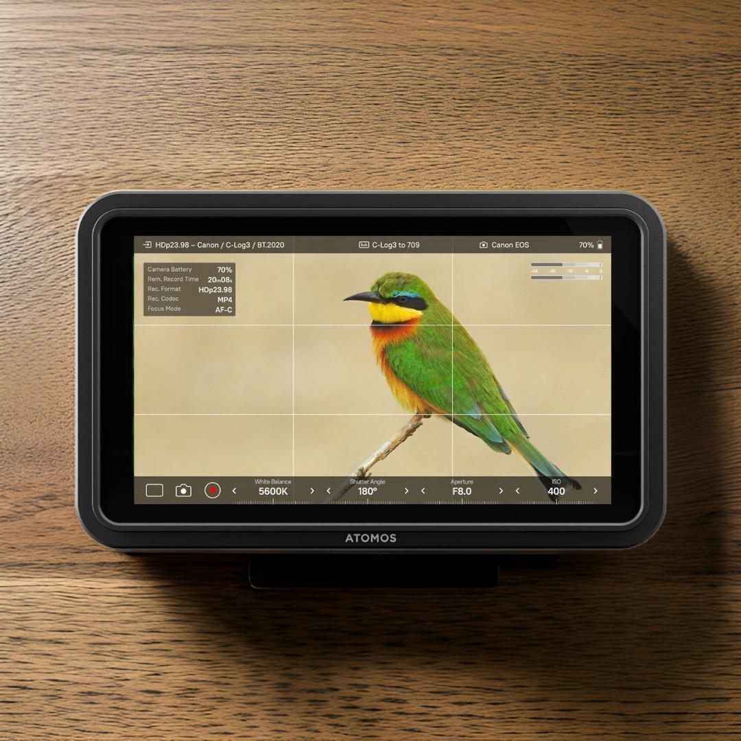 Atomos Shinobi II HDMI 4K Monitor with HDR Touchscreen with Atomos Monitor Accessory Kit Bundle