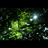 Sony FE 85mm F1.4 GM II Full-frame Large-aperture G Master Lens