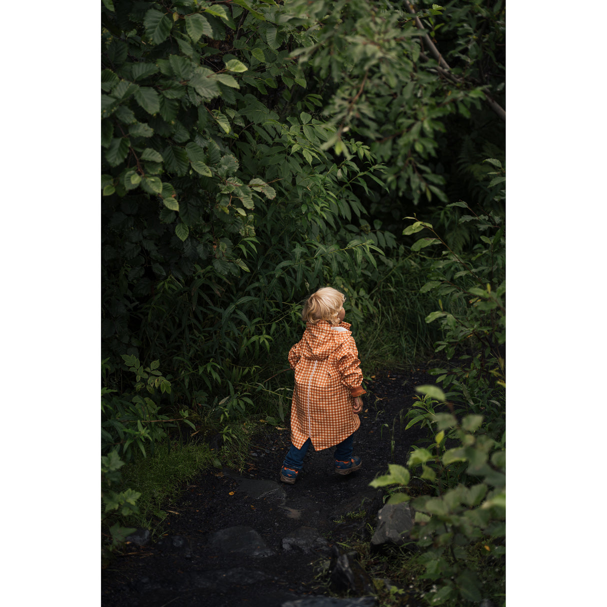 SIGMA 28-105mm F2.8 DG DN Art Lens with Durable Construction and High-Speed Autofocus (Sony E-Mount)