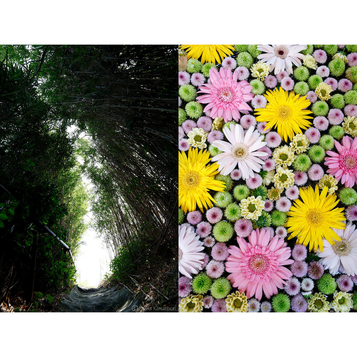 Sigma 10-18mm F2.8 DC DN Contemporary Lens with Ultra Wide-Angle Zoom and Compact Design (Canon RF)