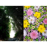 Sigma 10-18mm F2.8 DC DN Contemporary Lens with Ultra Wide-Angle Zoom and Compact Design (Canon RF)