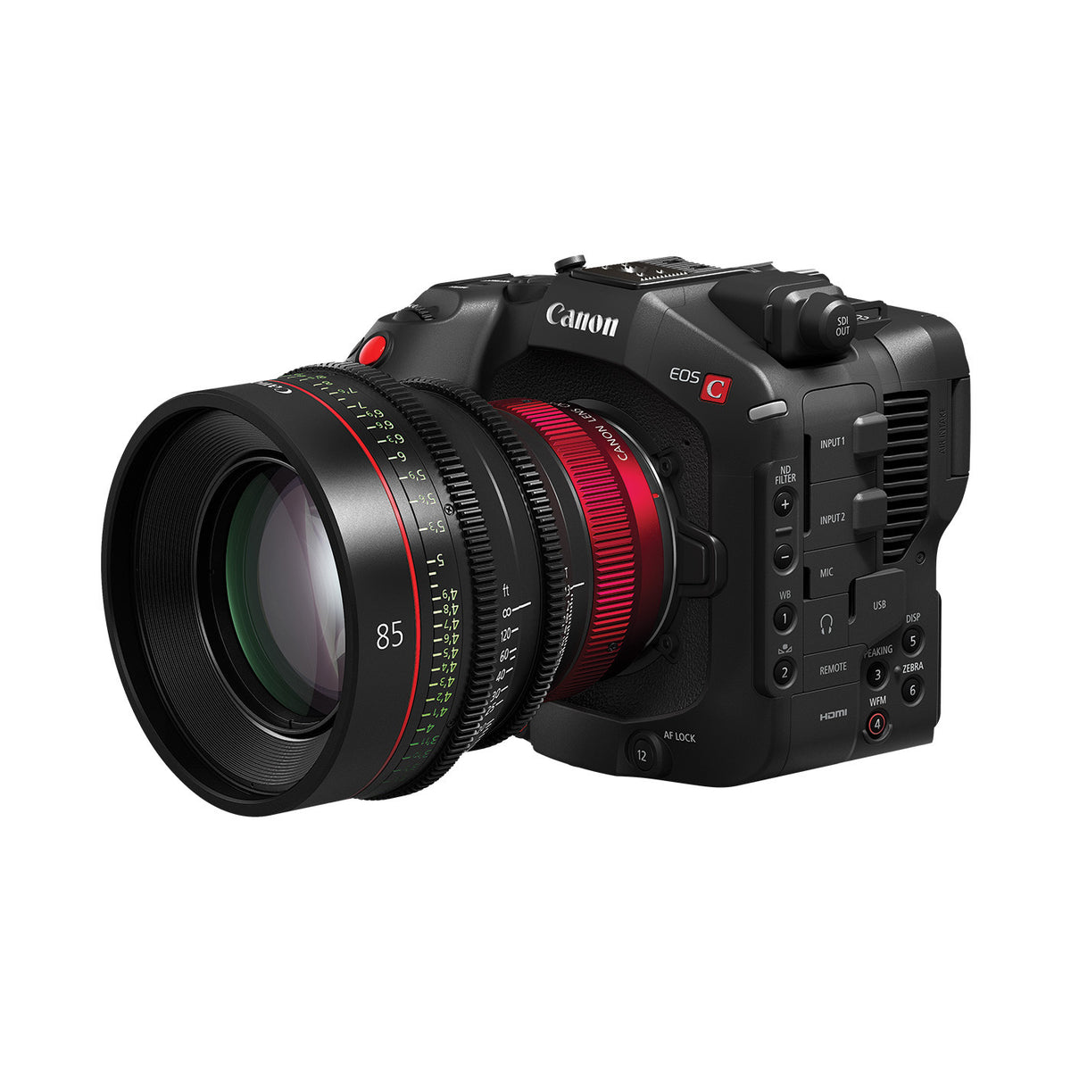 Canon EOS C80 6K Full-Frame Cinema Camera (Canon RF)
