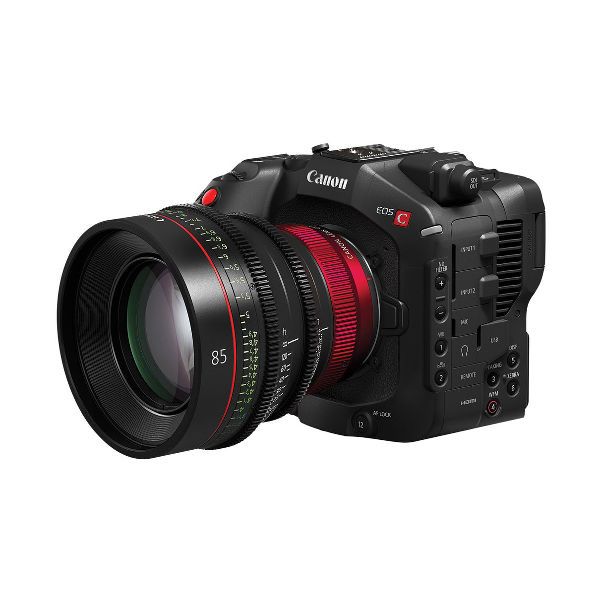 Canon EOS C80 6K Full-Frame Cinema Camera (Canon RF)