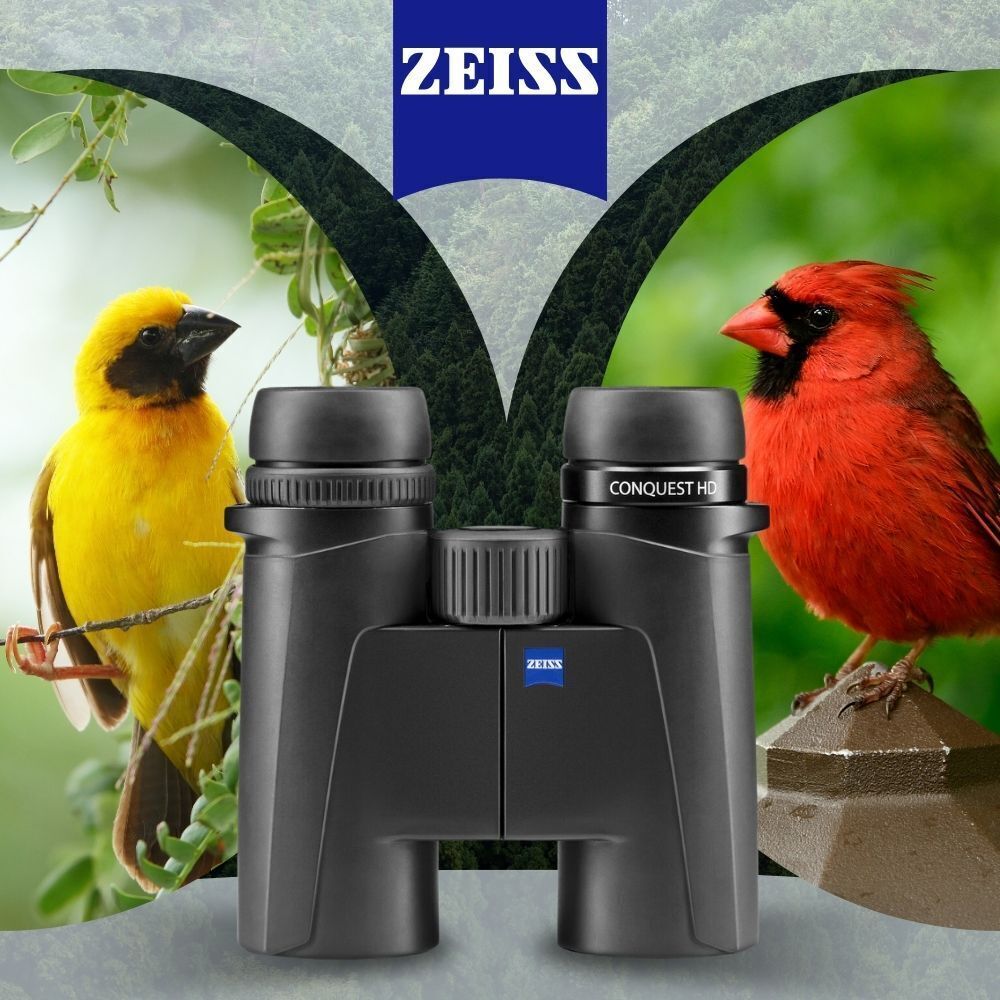 Zeiss Conquest HDX 10x32 Binocular with 90 Percent Light Transmission (Black) Bundle