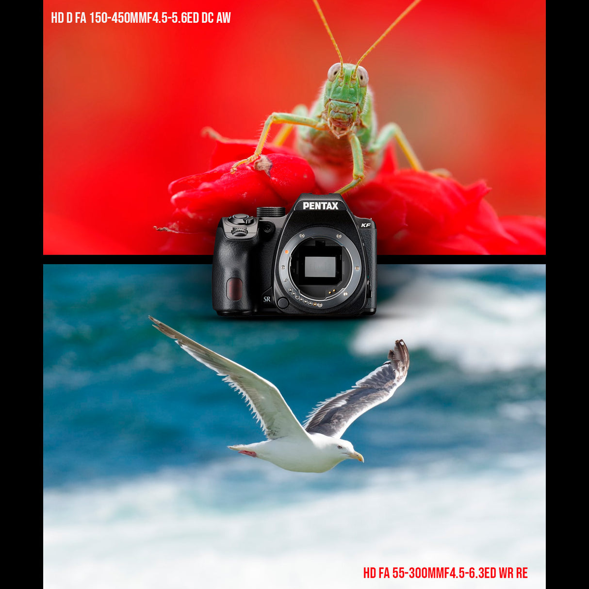 Pentax KF DSLR Camera Body (Black) with Pentax 35mm DA L f2.4 AL Lens and System Gadget Bag Bundle