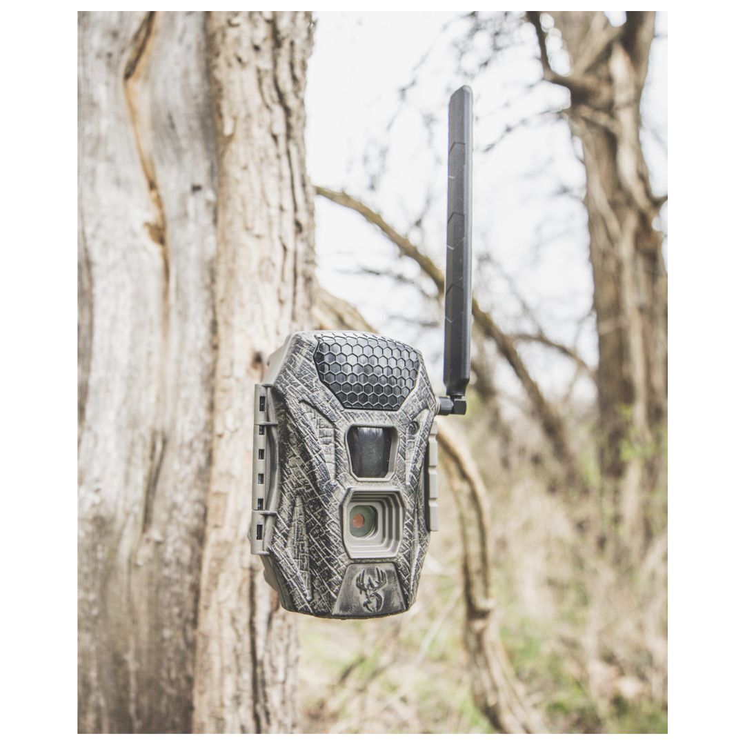 Wildgame Innovations Terra Cell 16MP Cellular Trail Camera with 21 LEDs and AIM System (Verizon)