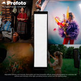 Profoto 1x4-Feet Softbox Strip (Silver) with 1x4-Feet Softgrid, Strip Mask, and Diffuser Kit Bundle