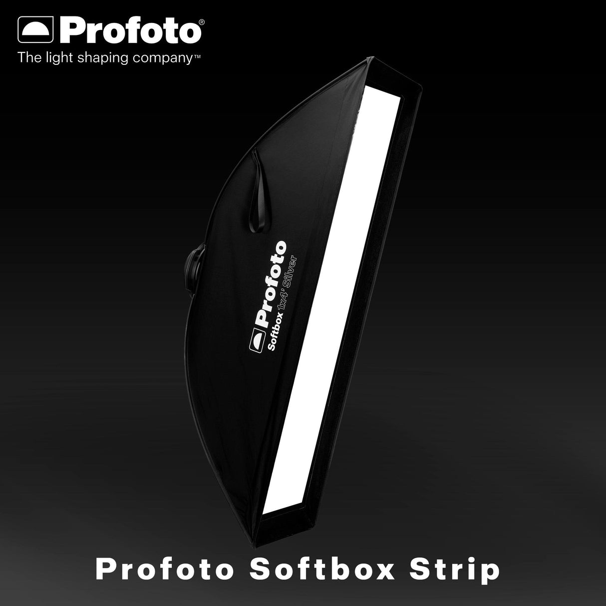 Profoto 1x4-Feet Softbox Strip (Silver) with 1x4-Feet Softgrid, Strip Mask, and Diffuser Kit Bundle