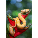 Tamron 90mm f/2.8 Di III VXD Lightweight Macro Lens for Full-Frame Mirrorless Sony E-Mount Cameras