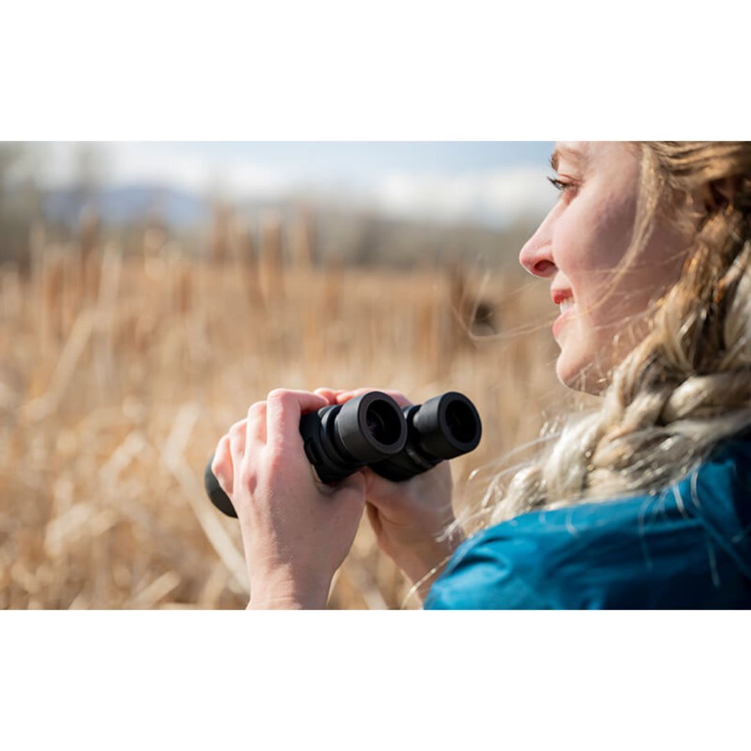 Nikon PROSTAFF P7 8x42 Waterproof/Fogproof Full-Size Binoculars (Black) (Certified Refurbished)