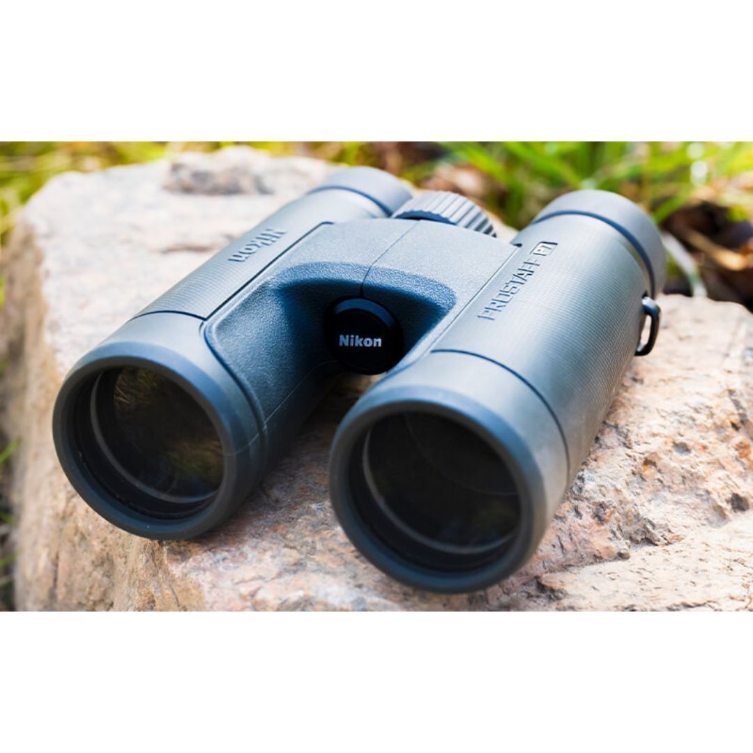 Nikon PROSTAFF P7 Full-Size 8x42 Waterproof Fogproof Binocular (Black, Refurbished)