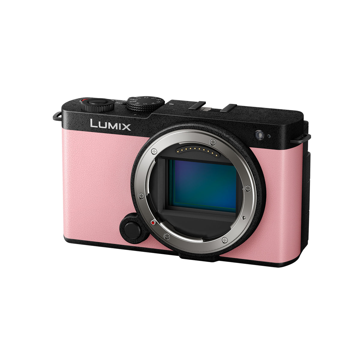 Panasonic Lumix S9 Full-Frame Mirrorless Camera with Compact and Lightweight Body (Pink)