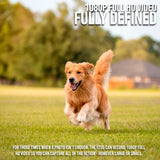 Kodak PIXPRO Friendly Zoom FZ55 Digital Camera (Black) with Digital Camera Screen Protectors Bundle