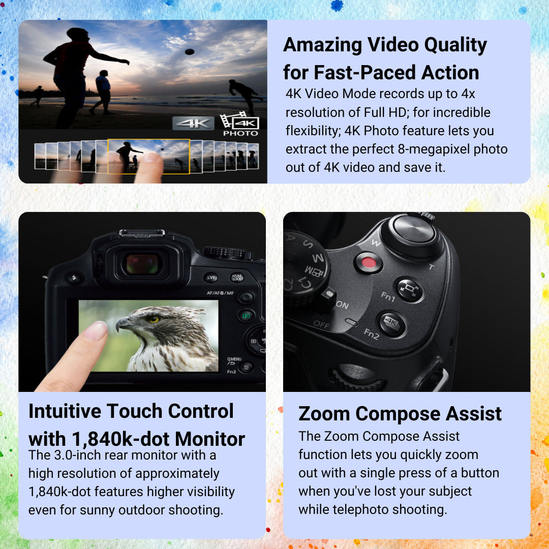 Panasonic LUMIX FZ80D Compact Camera