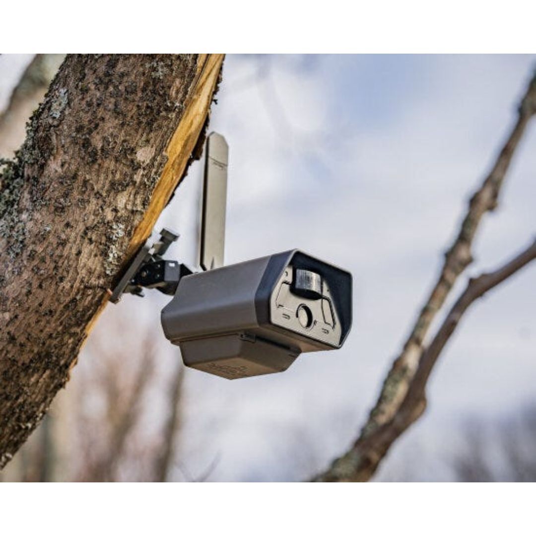 TACTACAM Defend LTE Cellular Security Camera with Low-Glow IR and 100-Feet Detection Range (Black)