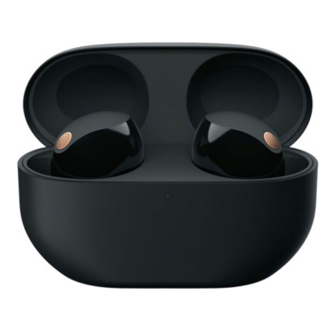 Sony WF-1000XM5 Rechargeable Charging Case with Lithium-Ion Batteries for Charging Earbuds (Black)