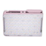 amaran Ace 25x Bi-Color LED Light with Ace Lock Quick-Release Mount and Optical Design (Pink)