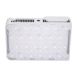 amaran Ace 25c RGBWW Full Color Compact LED Light with Ace Lock Quick-Release Mount (White)