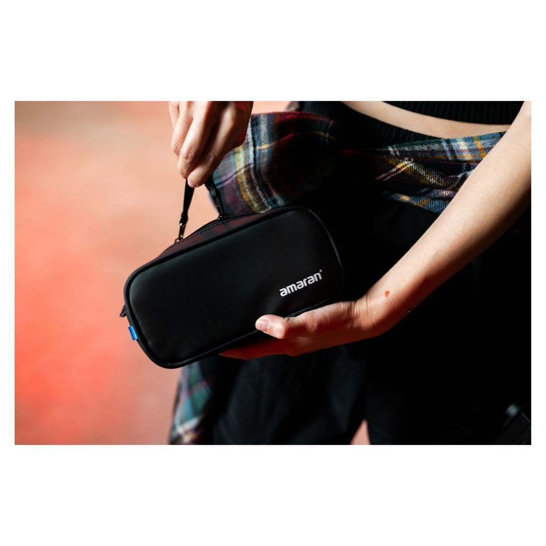 amaran Ace 25x Travel Ready Compact LED Light Creator Kit with Long-Lasting Battery (Silver)