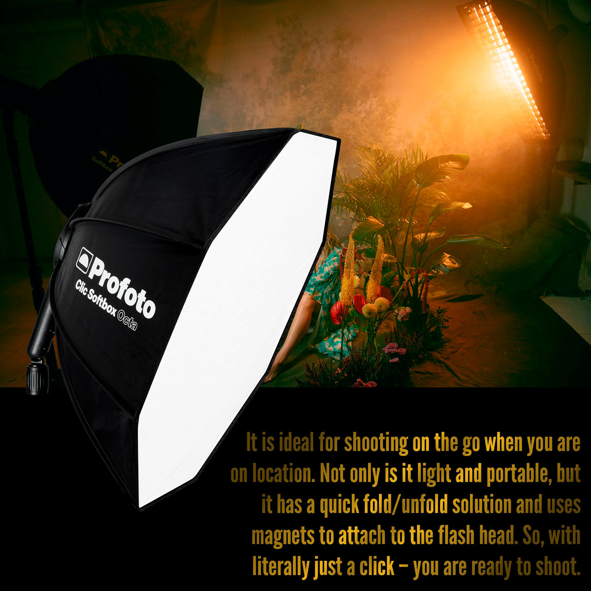 Profoto Clic Softbox Octa 2 Feet for Soft and Flattering Light with Clic Softgrid Octa Bundle