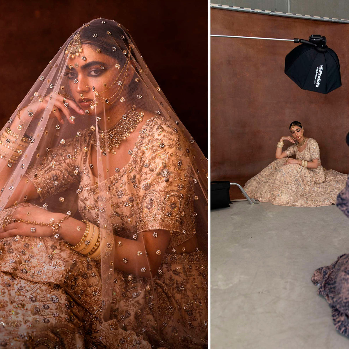 Profoto Clic Softbox Octa 2 Feet for Soft and Flattering Light with Clic Softgrid Octa Bundle