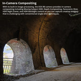 Canon EOS R8 Mirrorless Camera with RF 24-50mm f/4.5-6.3 IS STM Lens and RS 4 Gimbal Bundle