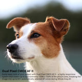 Canon EOS R50 Mirrorless Camera Bundle with 18-45mm Lens, DJI RS 4 Gimbal Stabilizer and Gadget Bag