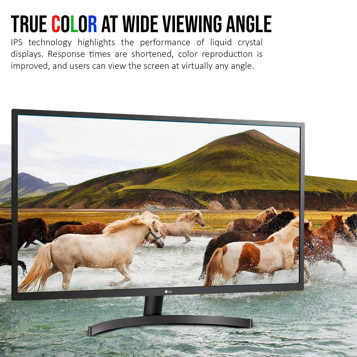 LG 32MN600P 32-Inch FHD IPS Monitor with AMD FreeSync Technology and Dynamic Action Sync (Black)