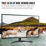 LG 32MN600P 32-Inch FHD IPS Monitor with AMD FreeSync Technology and Dynamic Action Sync (Black)