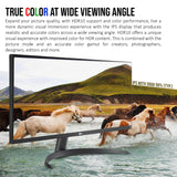 LG 29WQ500 29-Inch UltraWide FHD IPS HDR10 Monitor with AMD FreeSync and Dynamic Action Sync (Black)