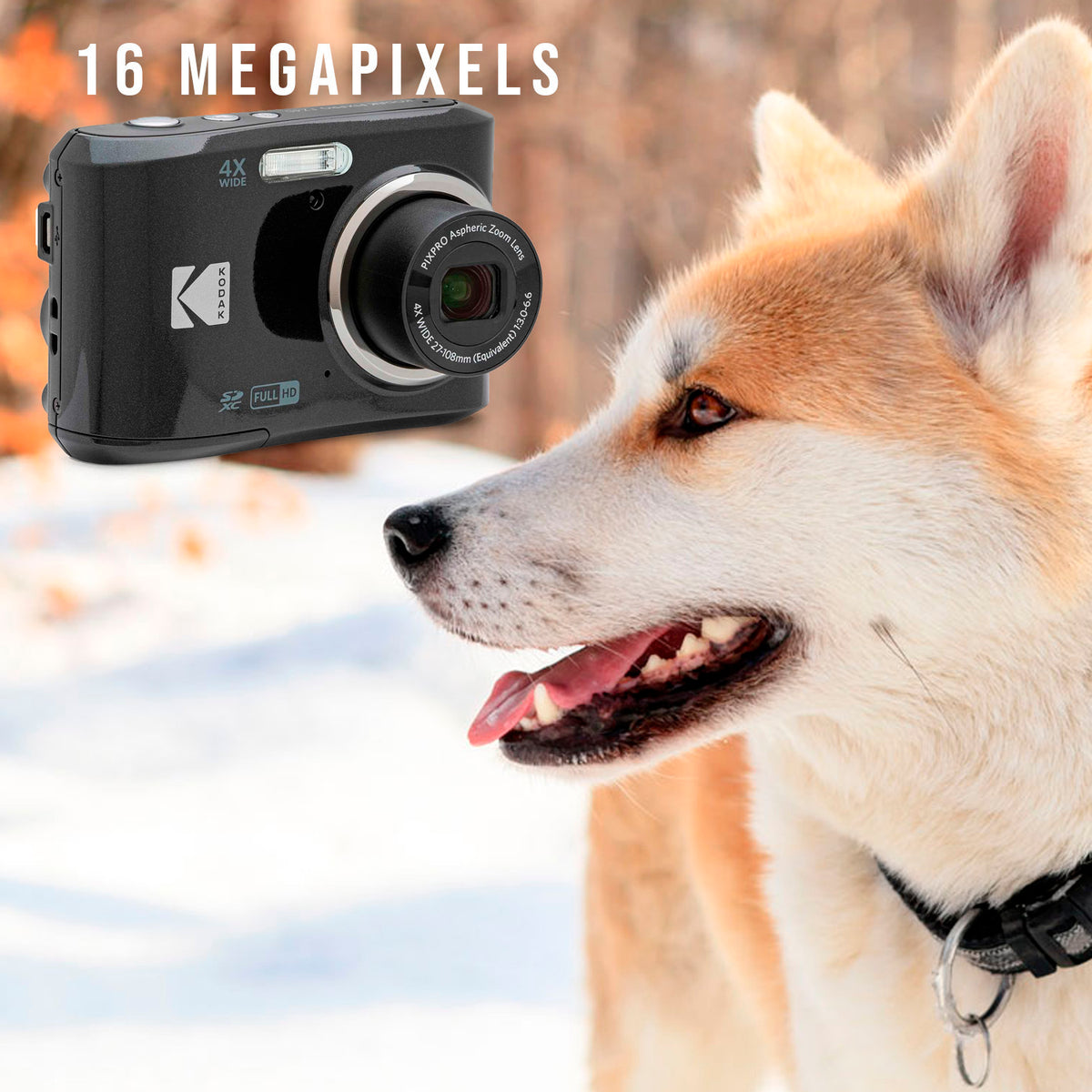 Kodak PIXPRO FZ45 Friendly Zoom Digital Camera (Black) with Travel Organizer and Storage Case Bundle